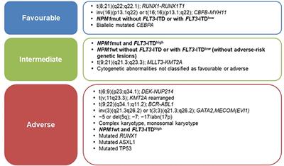 MRD in AML: The Role of New Techniques